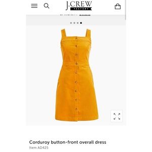 NWT J Crew Factory button front overall dress